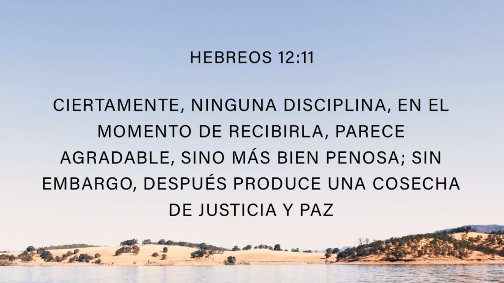 Al contrario, ¡es dolorosa! Pero después, produce la apacible cosecha de una vida recta para los que han sido entrenados por ella. Hebreos 12:11