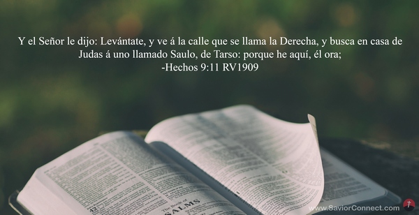 Hechos 9:11
