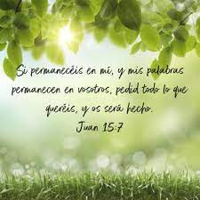 Juan 15:7