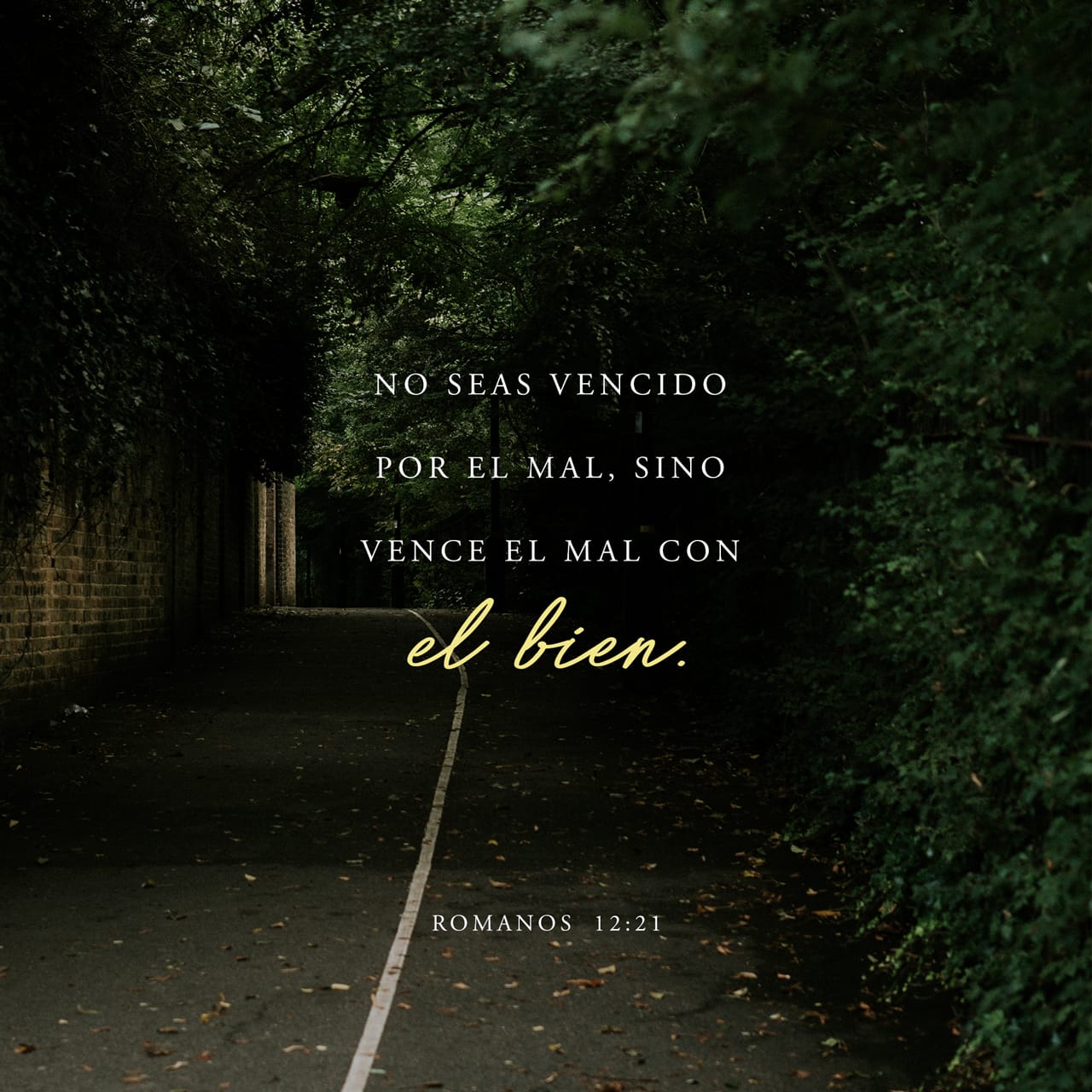 Romanos 12:19