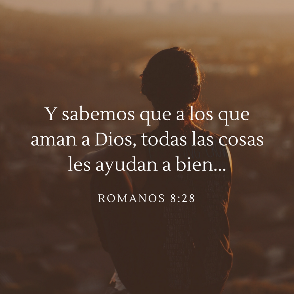 Romanos 8:28