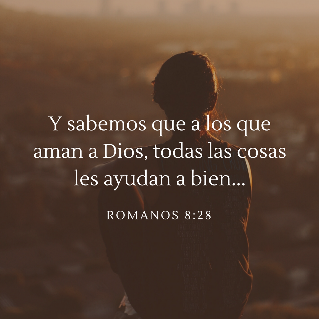 Romanos 8:28