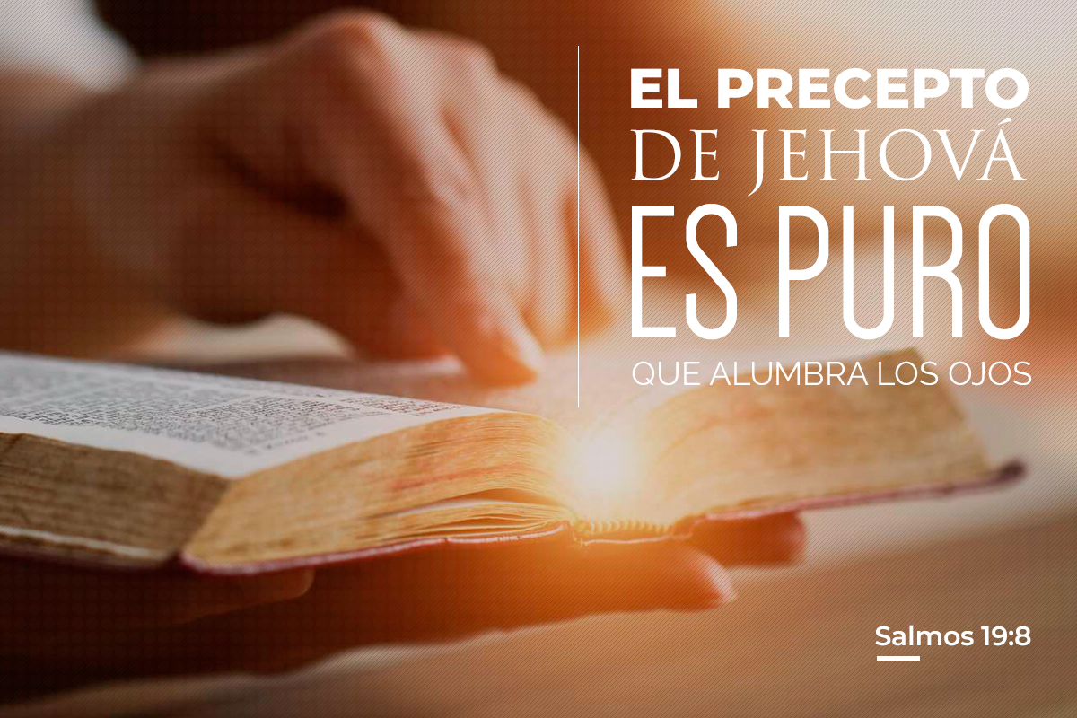 Salmos 19:8