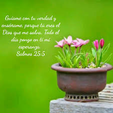 Salmos 25:5