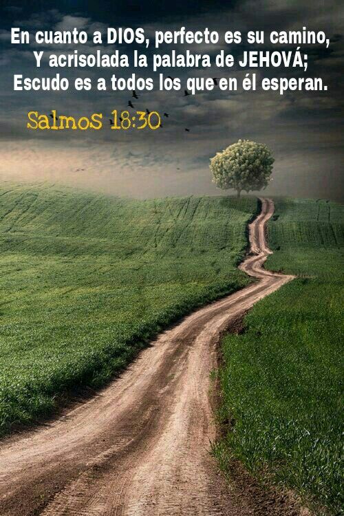 Salmos 18:30