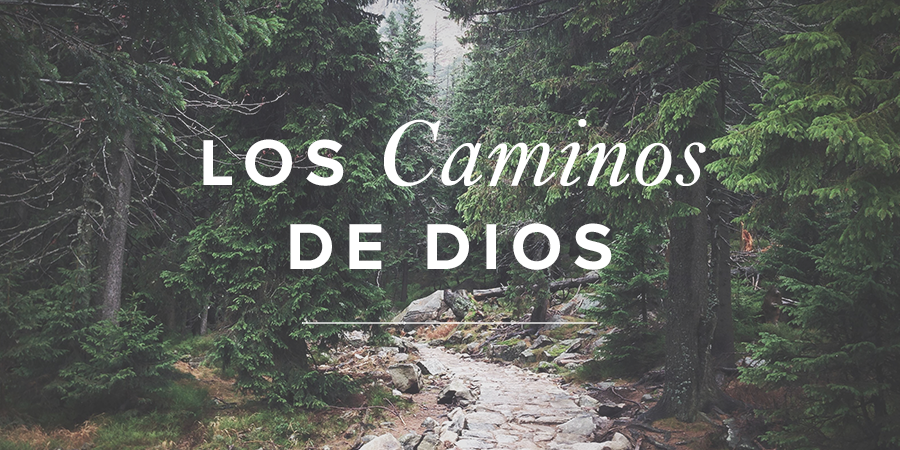 camino